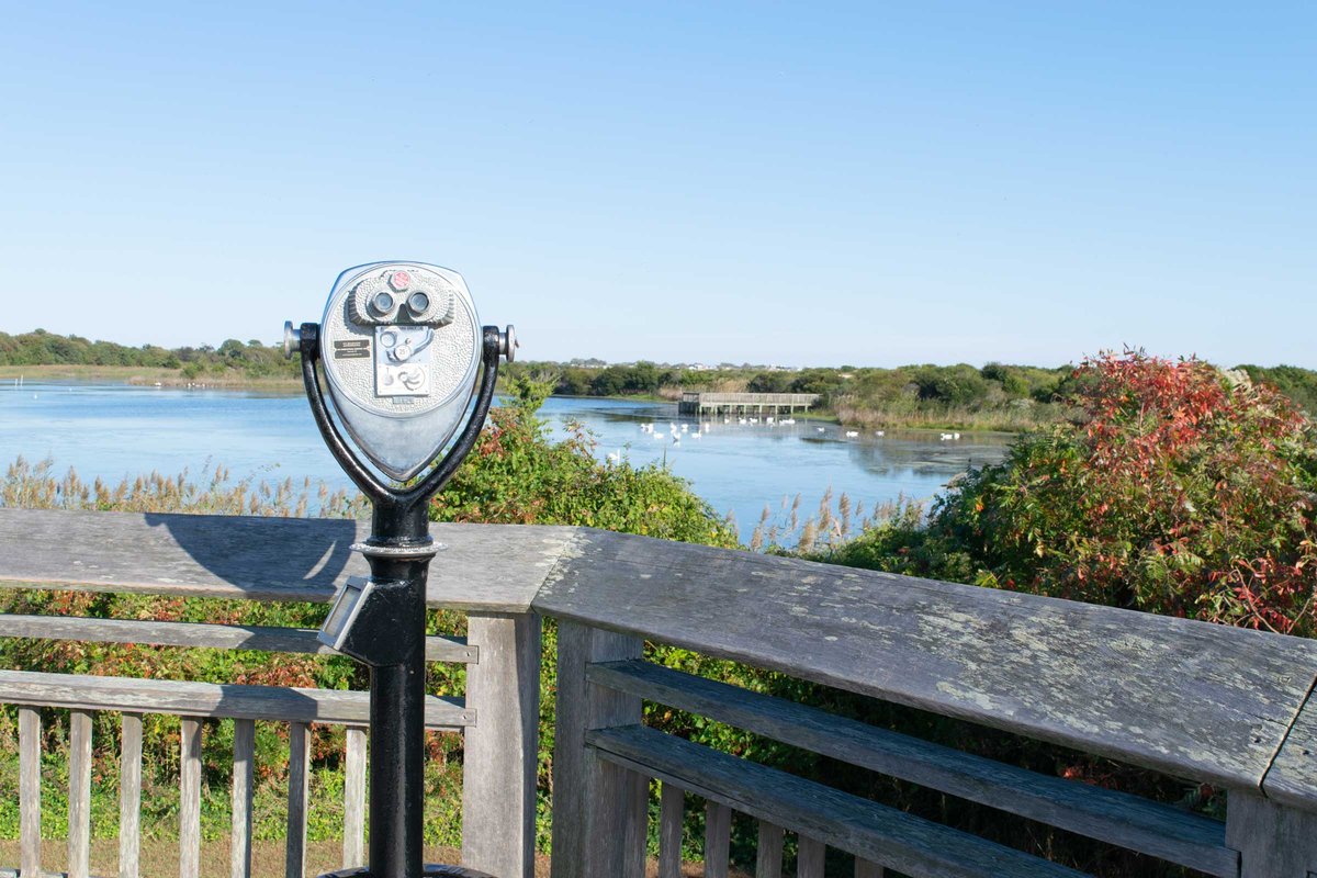 Lake Tract, NJ - Bayshore Heritage | NJ Scenic Byways