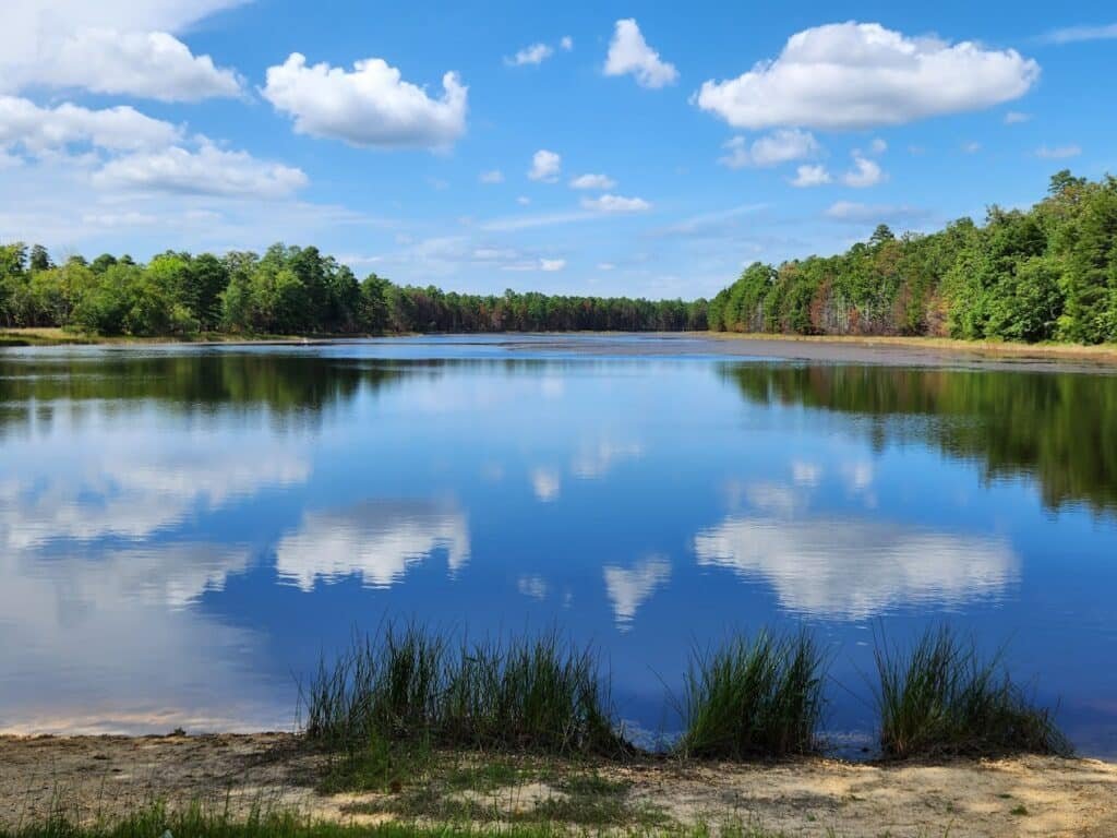 Lake Tract, NJ - Wharton State Forest | Visit South Jersey